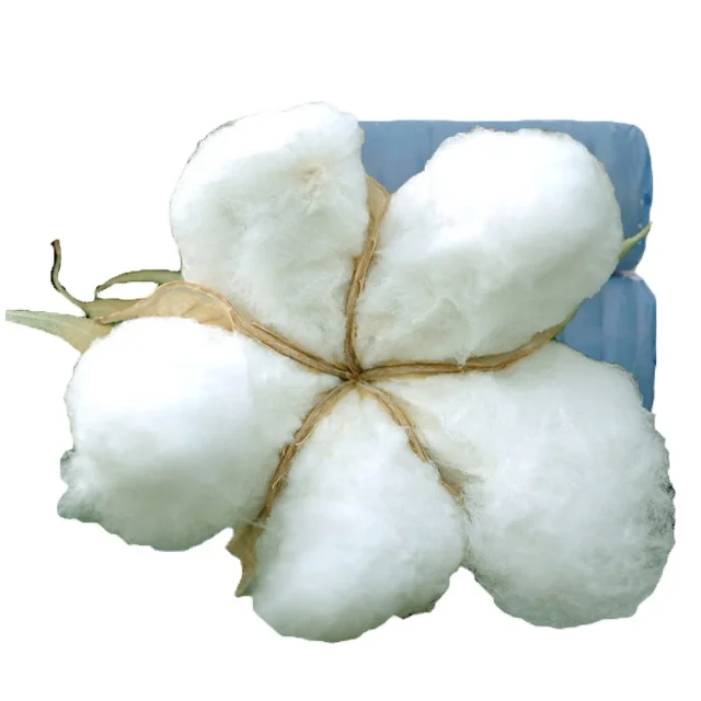 Pure Cotton Export Quality High Quality From Sudan