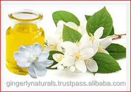 Indian Exporter of Hedychium oil