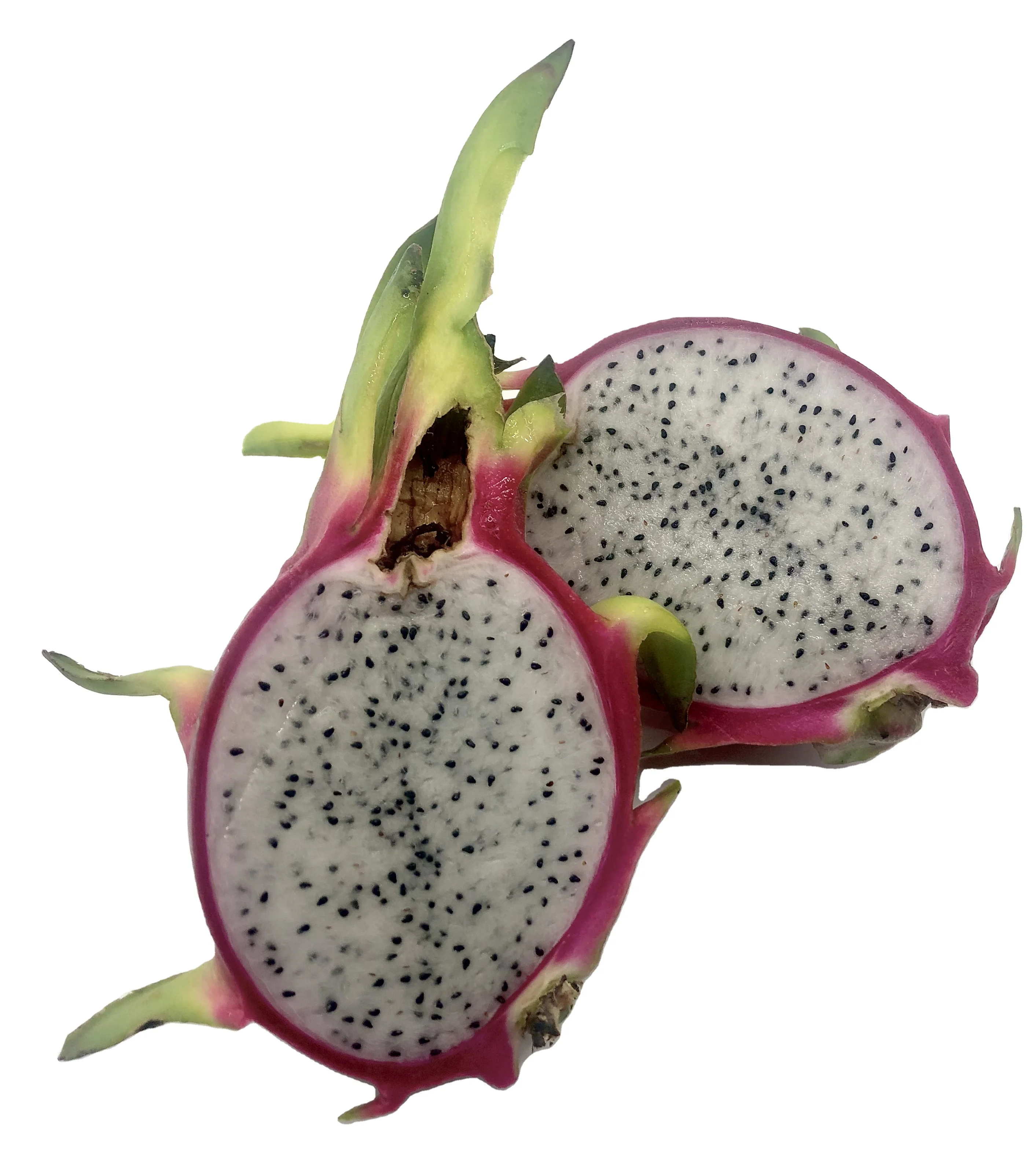 Fresh Dragon Fruit from High Quality and Competitive Price Thailand product