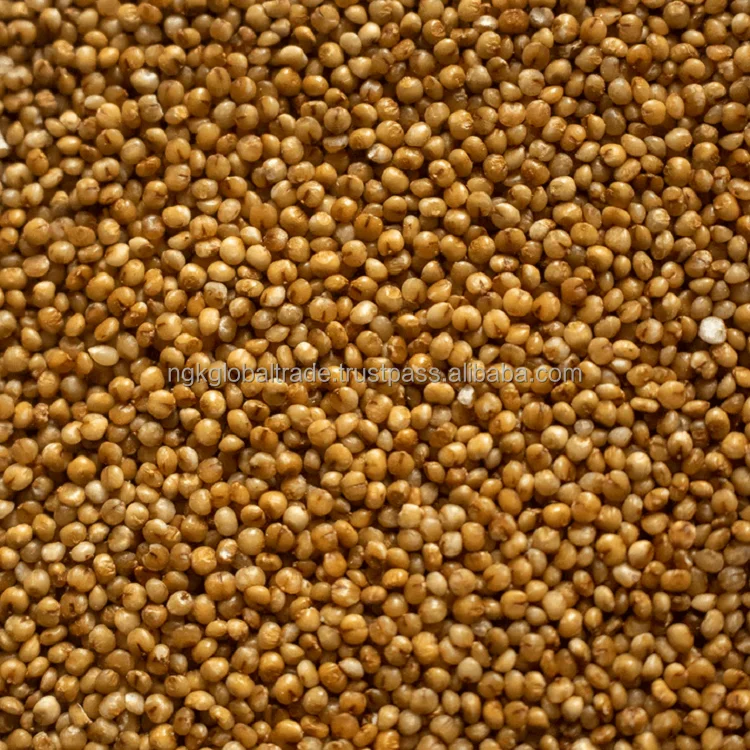Kodo Millet.png