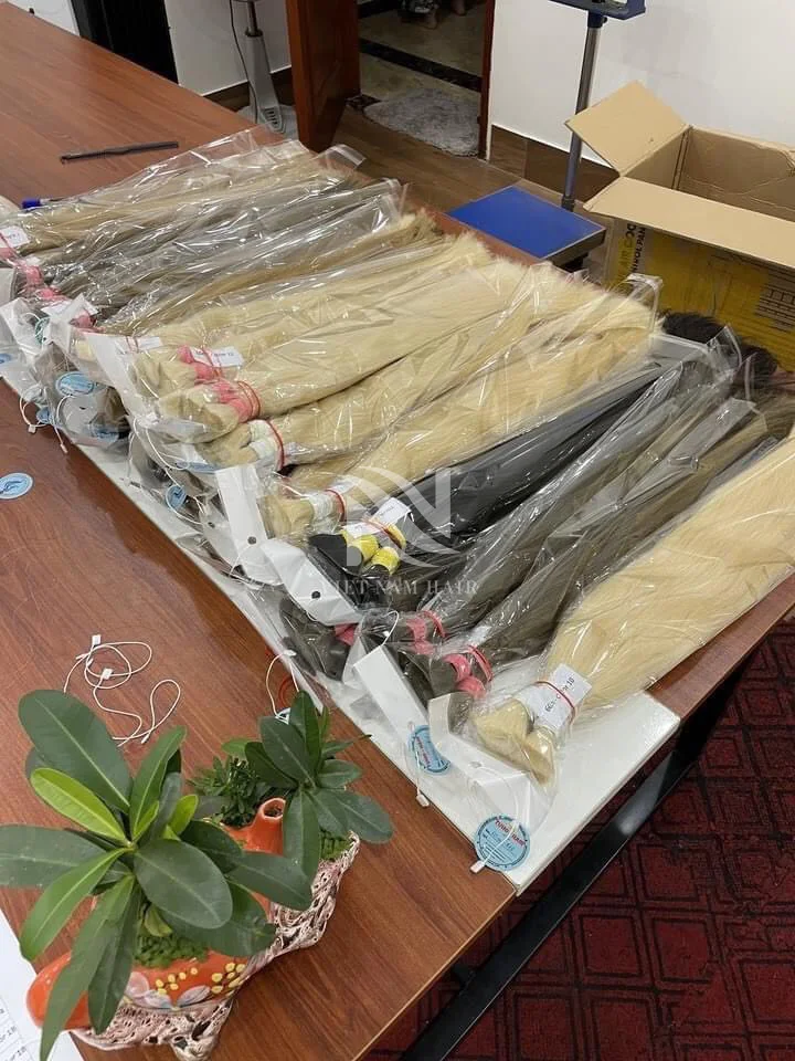 Bulk Wholesale Color Hair Super Durable Trending Hair Extensions Remy Premium Quality Real Human Hair