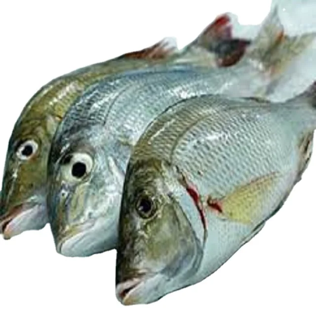 Оптовая цена, замороженная императорская голова на нарезной шкале, от морепродуктов, в массовом количестве, индийские экспортеры морепродуктов