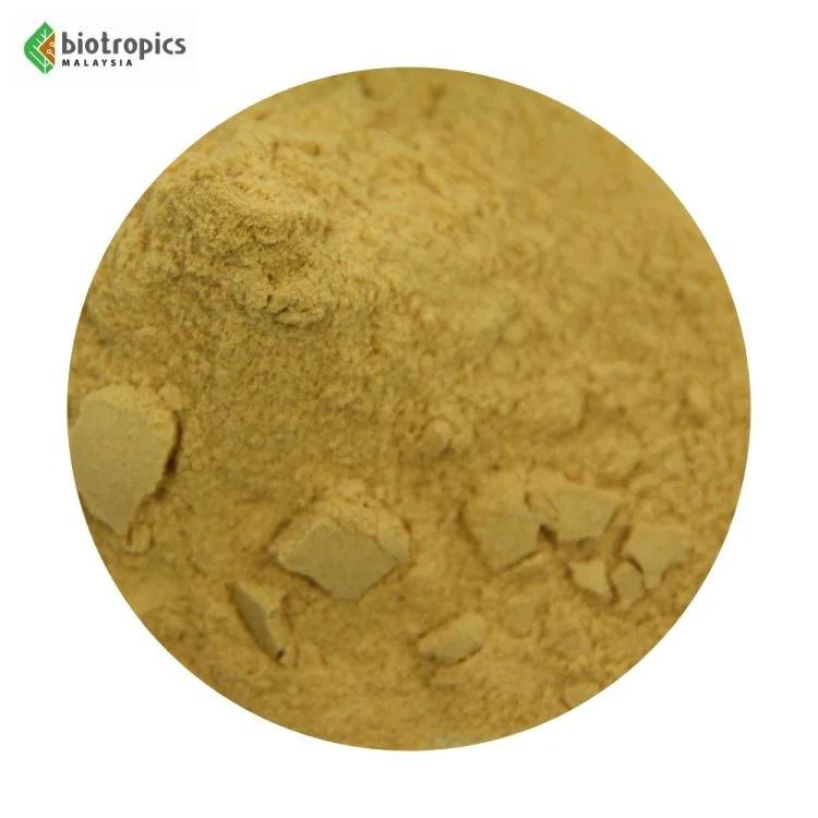 Authentic Malaysia Tongkat Ali (Eurycoma longifolia) Herbal Extract Root Powder Wild-Cultivated Ingredient Coffee Energy Drinks