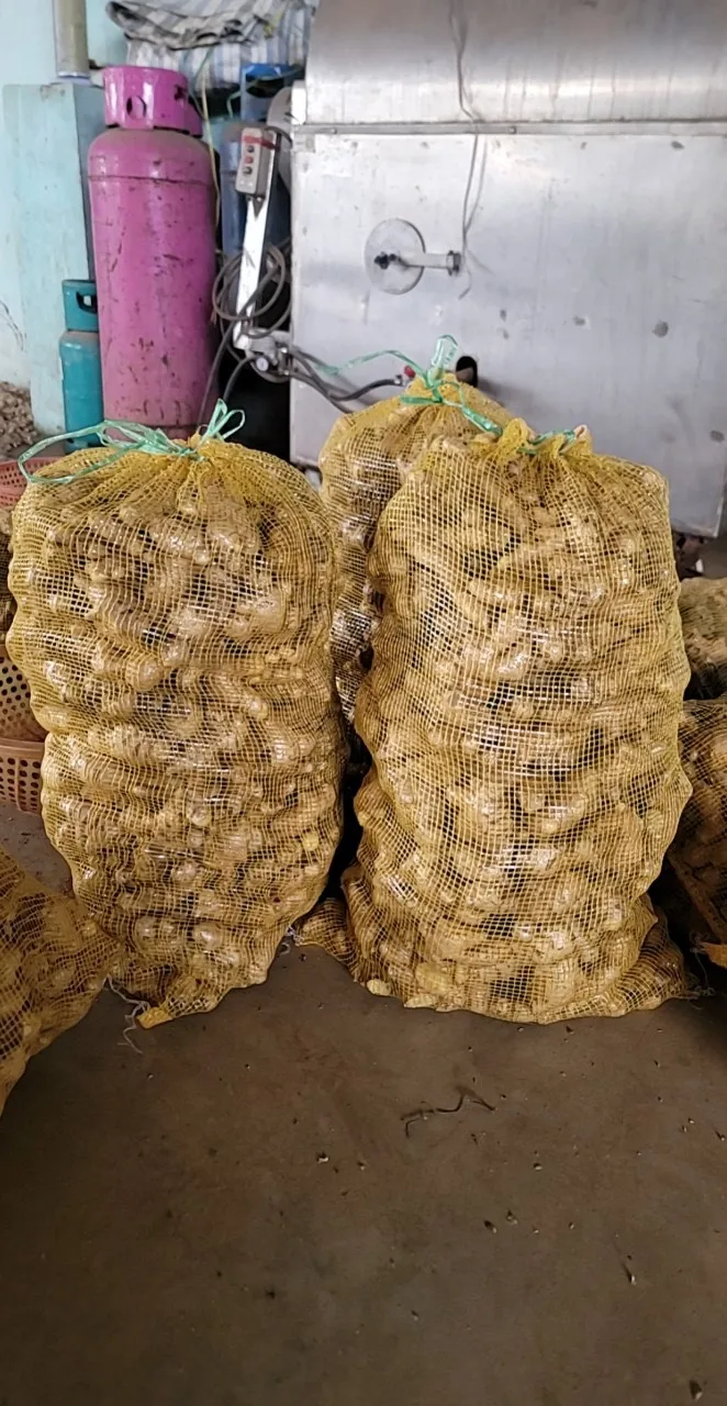 Good Market Price Per Ton Fresh Ginger Wholesale High Quality Dried Ginger Ginger For Export in Vietnam