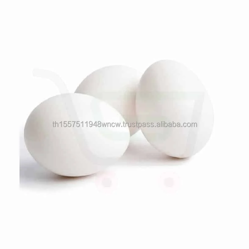 Chicken Eggs Ostrich Eggs, Chicken Eggs, Turkey Eggs Fresh Table Eggs Brown And White Farm Fresh Chi