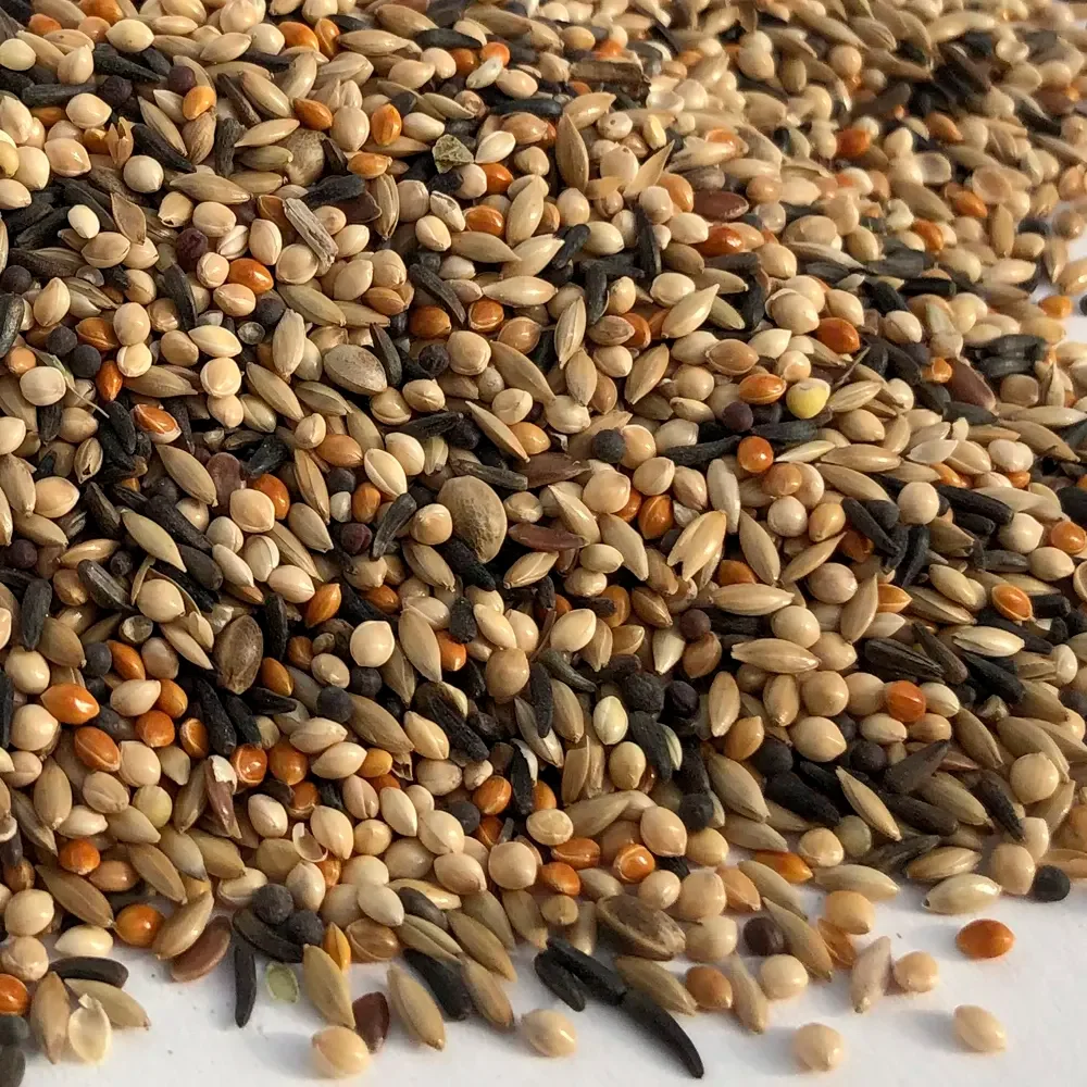 Wholesale Price of Healthy Food Natural Organic Bird Feed Canary Kernel Seeds.png