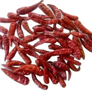Dried small Chilli from vietnam  best quality cll +84984418844 w