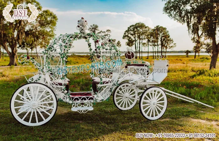 Великолепная лошадь тыквенная каретка роскошная с рисунком лошади Новый Орлеан