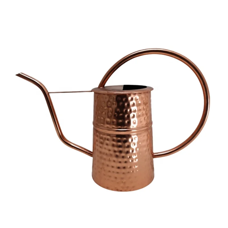 Gardening Customized Iron Long Spout Power Coated Spray Water Can Garden Metal Watering Can