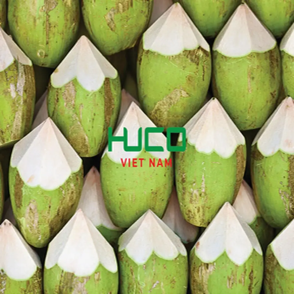 Cheap Price High Quality fresh coconut - fresh sweet young coconut organic from Vietnam