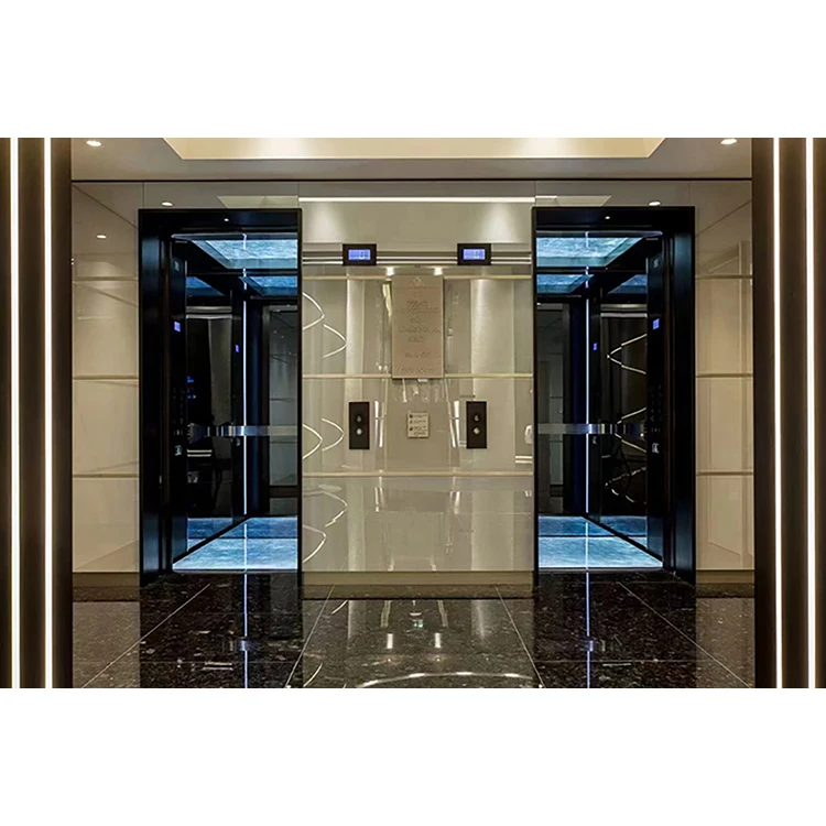 MSDS High Quality 320KG Capacity Load 2-3 Floor Home Elevator Small Home Elevator Home Elevators Price