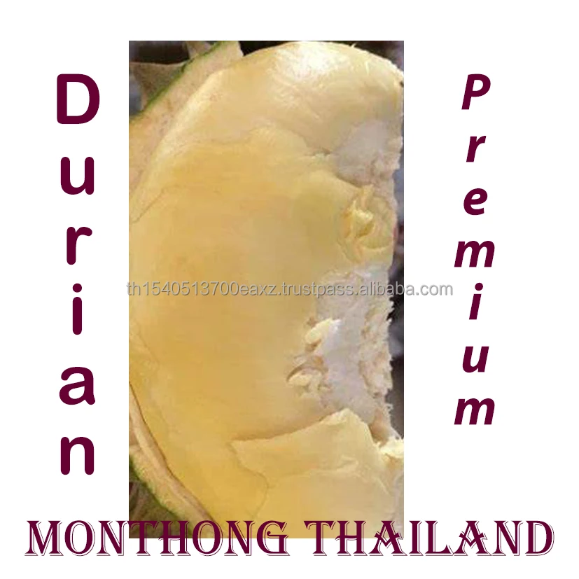 Premium  Durians Monthong from Thailand