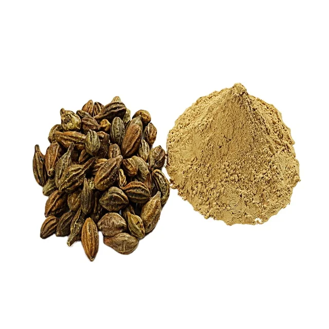 Terminalia Chebula Dried Fruit High Quality
