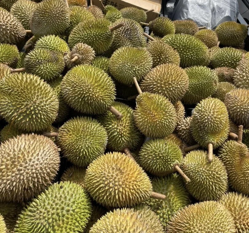 Малазийский дуриан Musang King D197 Pahang Raub, свежий дуриан король фруктов, тропические фрукты Дуриан