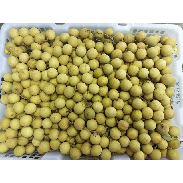 Fresh Longan Wholesale Special Cuisine Organic Fresh Fruit with Sweet Taste from Thailand Tropical Fruit for Export