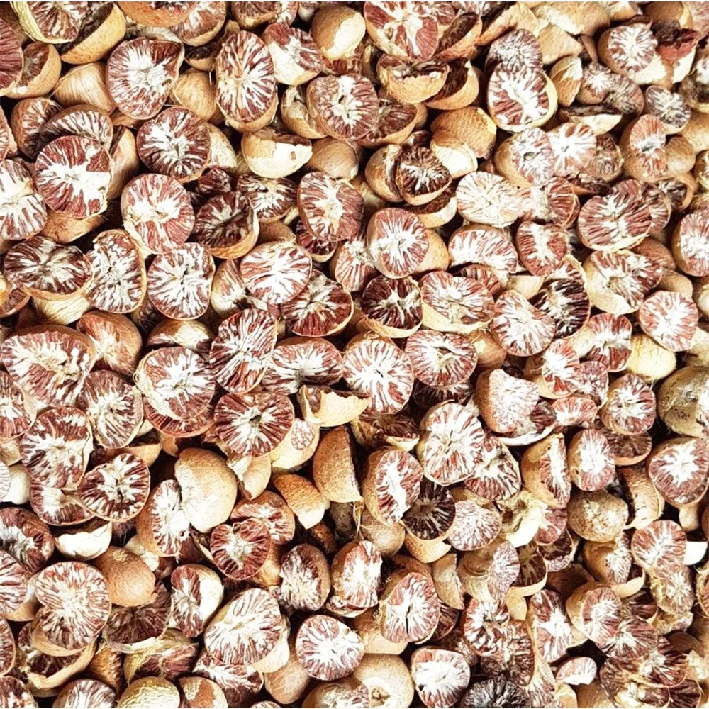 Best Selling Export Quality Areca Whole Betel Nut High Quality Betel Nuts Products From Thailand