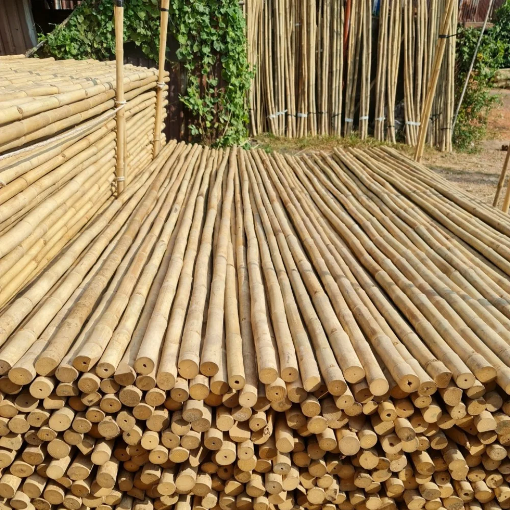 The leading product in Vietnam selling bamboo poles in bulk for decoration and construction, agriculture. most popular products