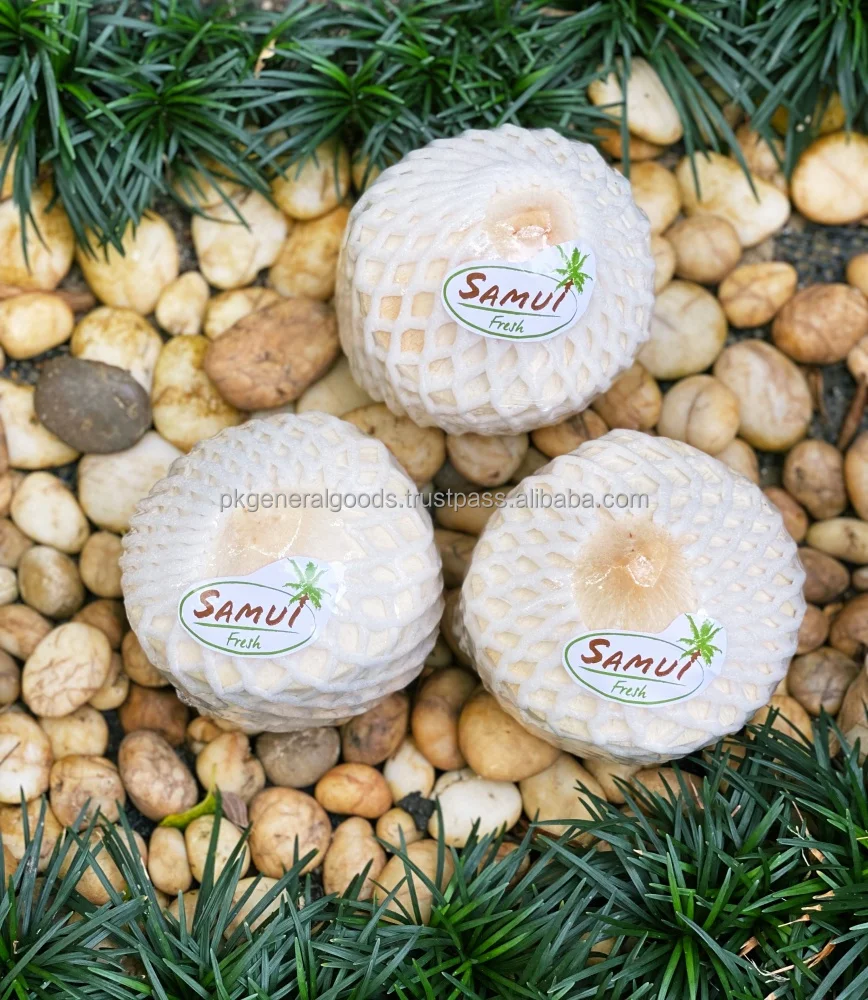 Молодой тайский кокос свежий бренд SAMUI. Фруктовый продукт осушенный кокос. Продукт Таиланда сумасшедший