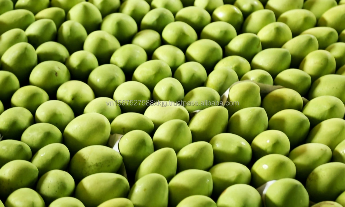 [HOT] High quality fresh Cat chu mangoes fresh fruit natural export from reputable manufacturers in Vietnam