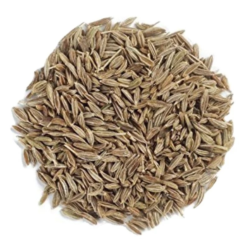 Wholesale Export quality high Quality Dried Cumin best cumin