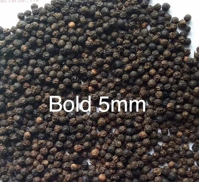 Vietnam Supplier Wholesale 550G/L Machine Cleaned Seasoning Black Pepper Whole Spice Dried Powder Cheap Price +84 368 591 192