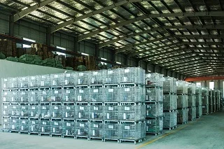 serrated lock washer external teeth hot sale best price