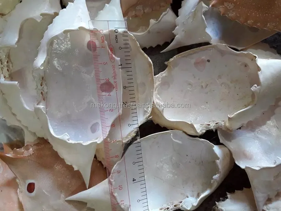 Hot Sales High Quality  Clean Dried Crab Cover For Stuffed Crab And Decoration Private Label Packaging Available