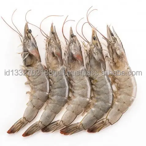 100% Export Oriented High Quality Wholesale Price White Shrimp/Fresh Water Prawn/Frozen Shrimp From Indonesia