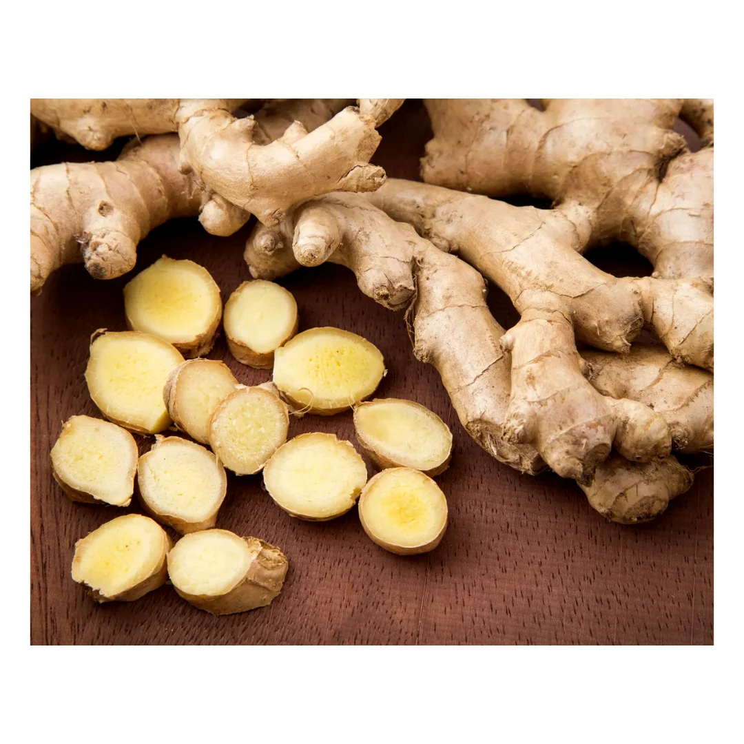 Newest Harvet High Quality Natural Flavor Fresh Or Frozen Ginger Deliciously With Wholesaler Price