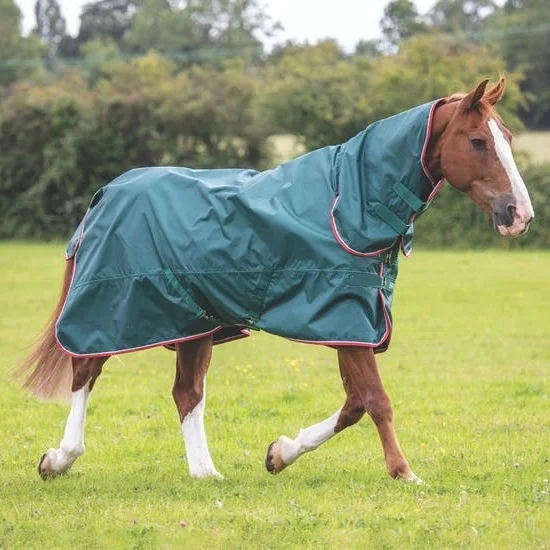 200g Full Neck Horse Combo Turnout Rug For Sale