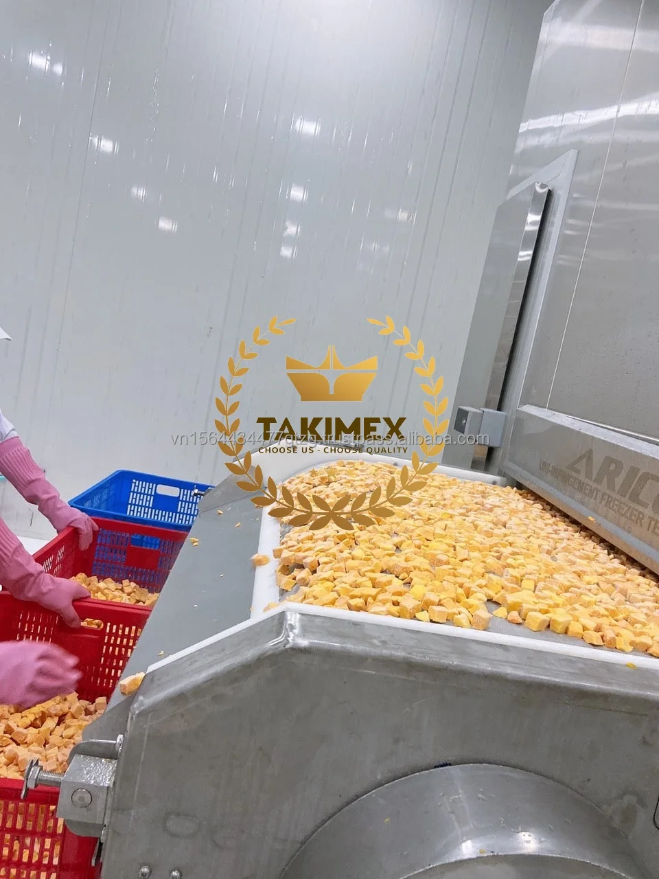 Vietnam Frozen IQF Mango Supplier - Frozen Mango or IQF Mango All Shapes OEM Packing Made in Vietnam