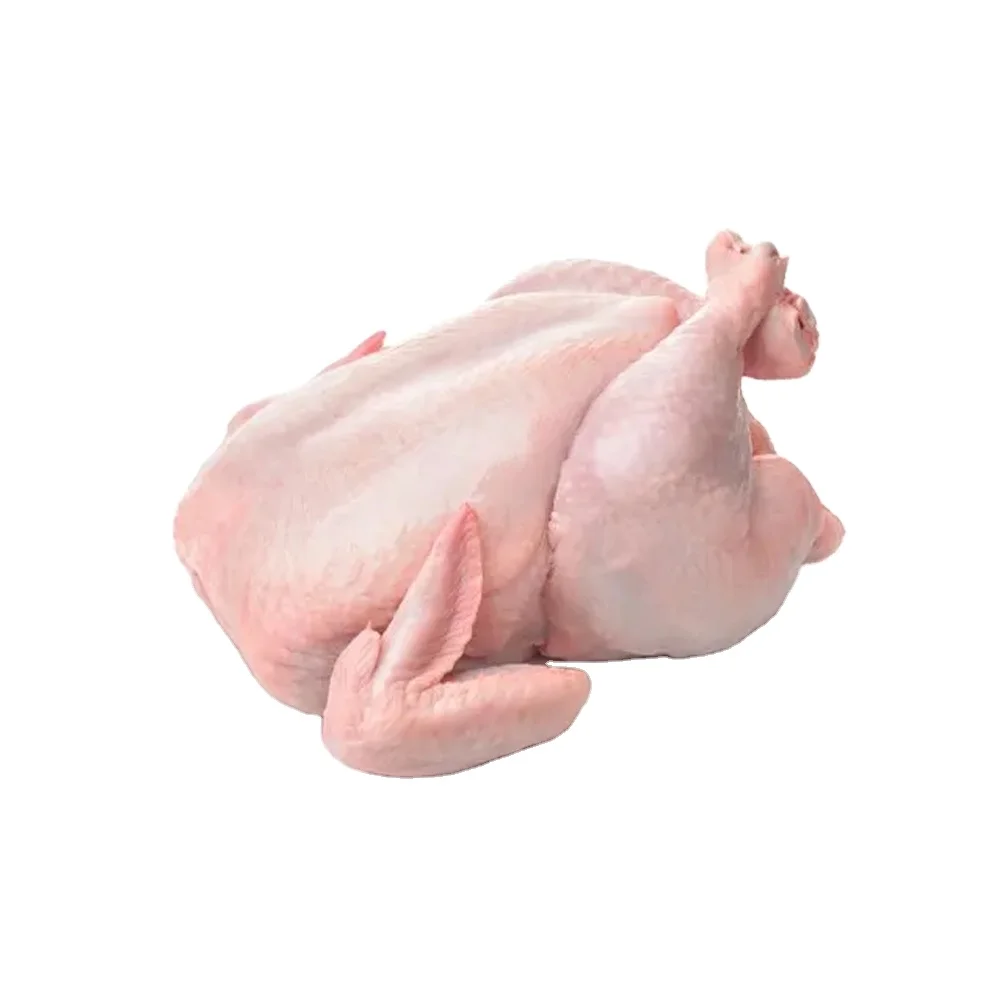 High Quality / Top Brazilian / Wholesale Hot Sale Low Price Frozen Whole Hen Chicken For Sale