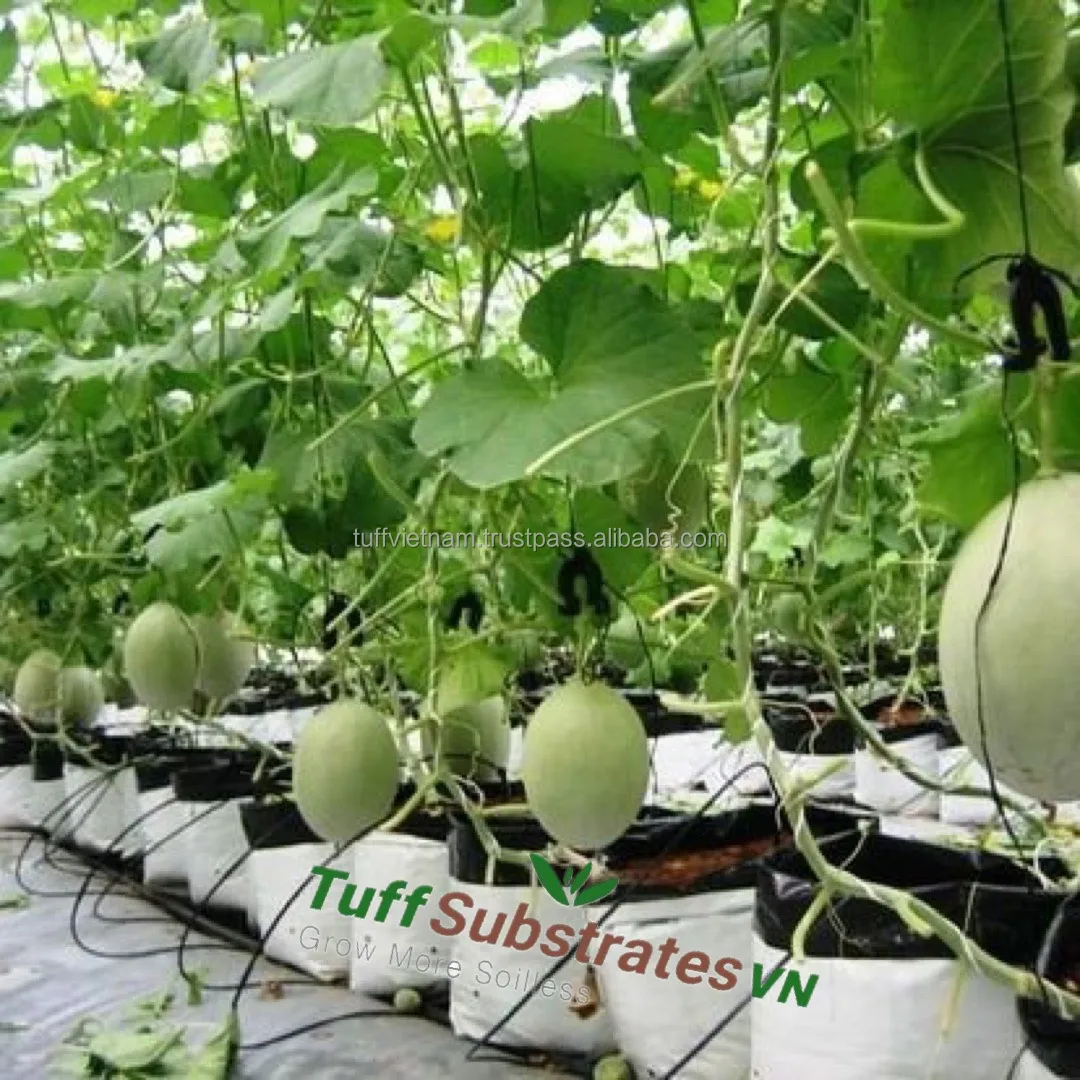 Hot sale Coco coir Block Cocopeat 100% Coconut Husk Low EC High Quality to plant from Tuff Vietnam  For Plants With 550Gr Block