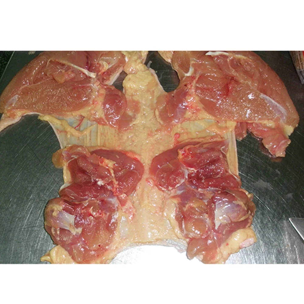 Замороженная халяльная курица IQF свежая замороженная оптовая продажа Органическая Халяль лучшее качество 100% чистая из США птица