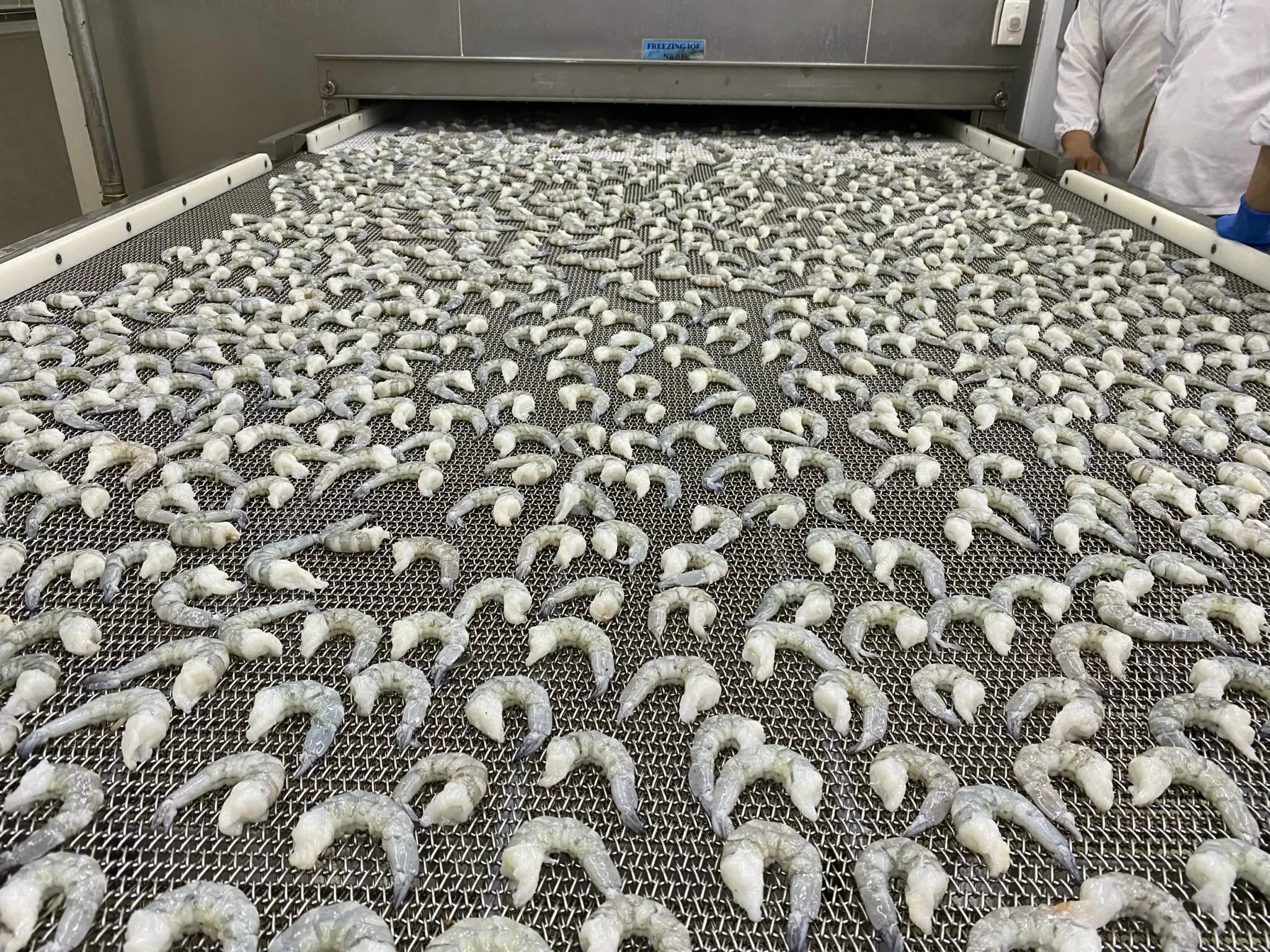 Vietnam Black Tiger Shrimp PD IQF Frozen 100% Natural Fresh High quality Seafood