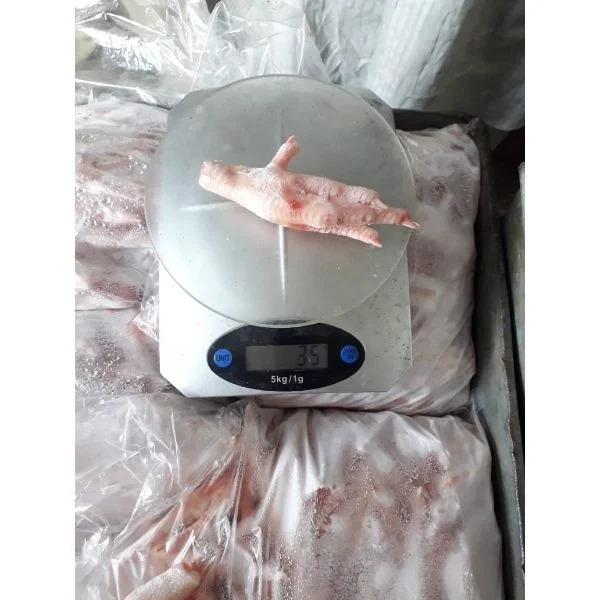  Processed Frozen Chicken Feet and Paws Stock Available for immediate shipment from