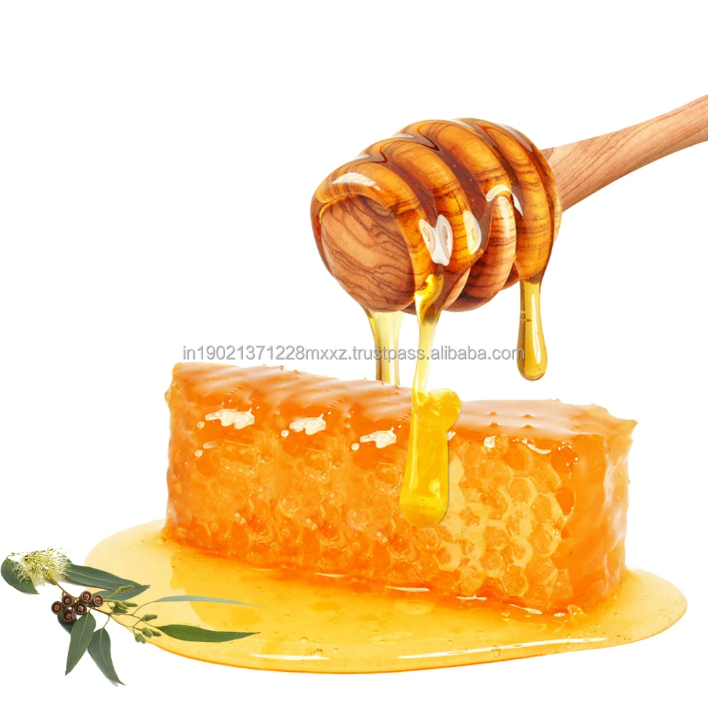 250gm Eucalyptus Honey - No Added Sugar - Immunity Booster, Nutrients - Best Manufacturer price - Pure and Natural