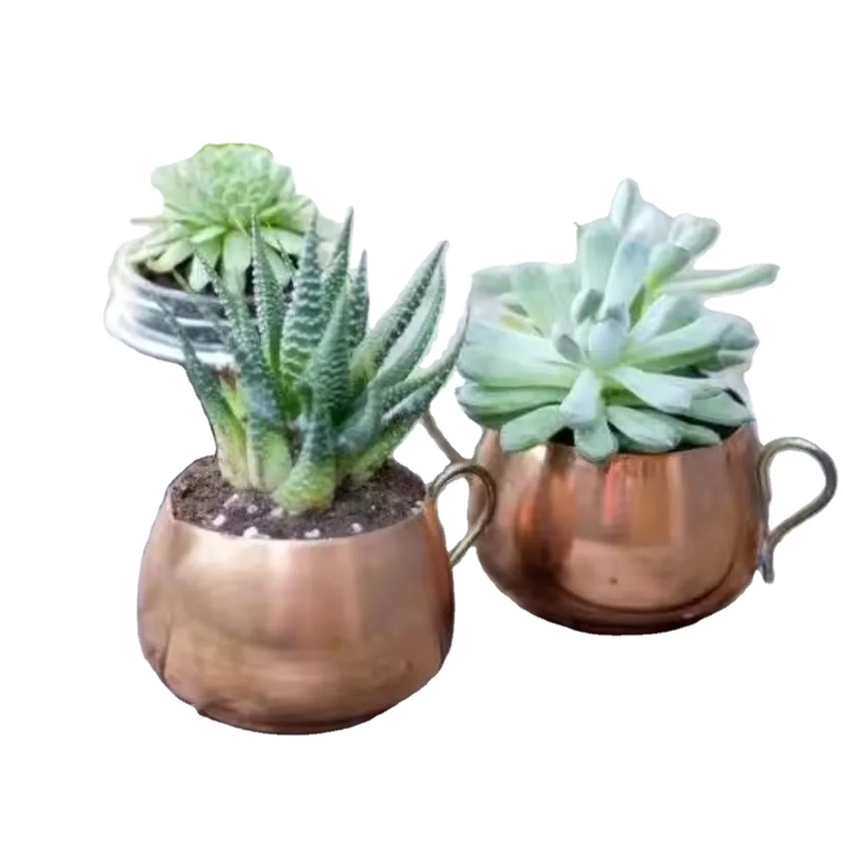 Latest Small Size Modern Design Garden Wall Plastic Hanging Planter Flower Pot For Home Decoration In Low Price