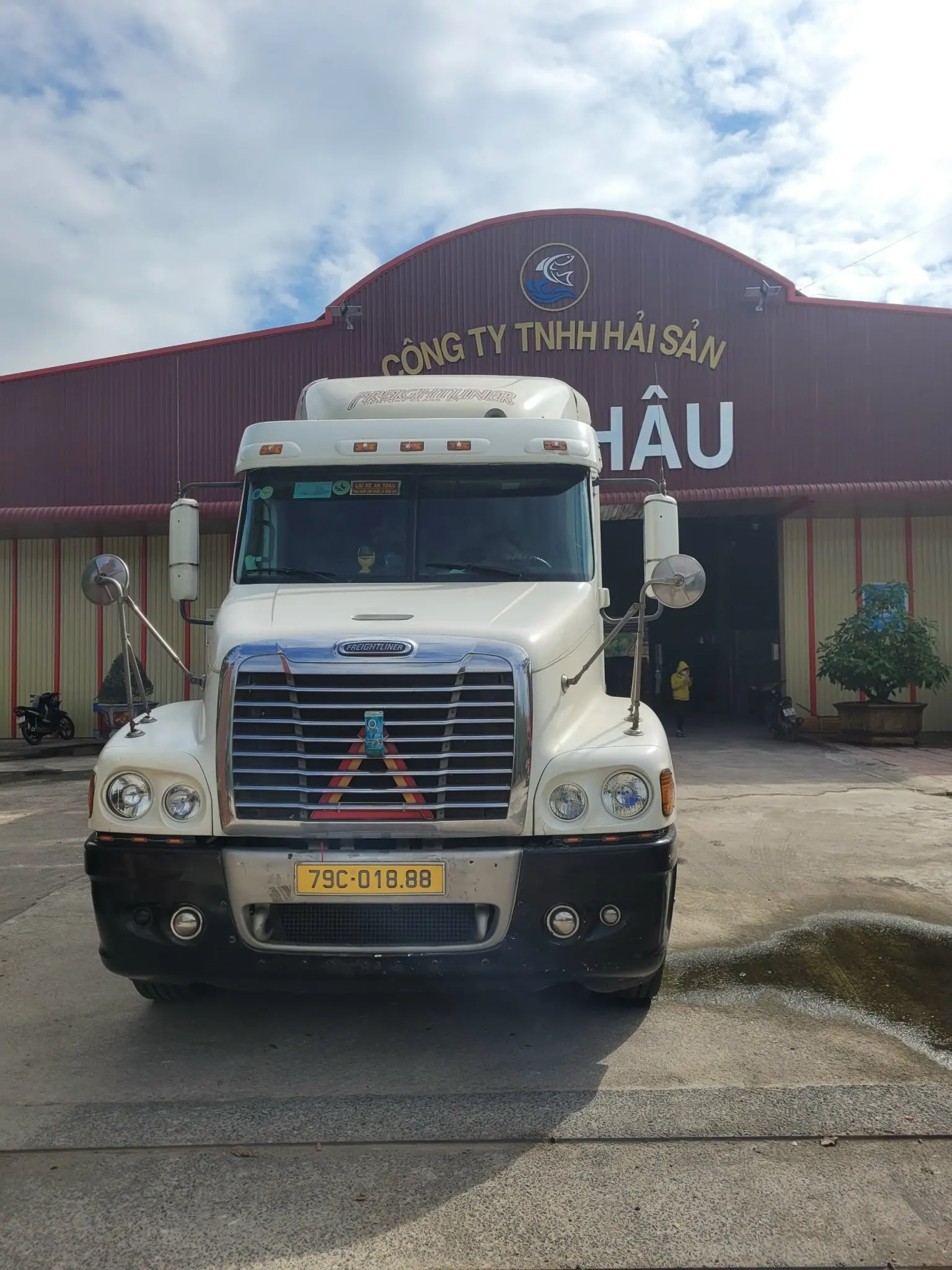 Hot Selling Seafood Dry Whole Anchovy Fish With Customized Logo And Packaging Bag From Vietnam Seafood Company