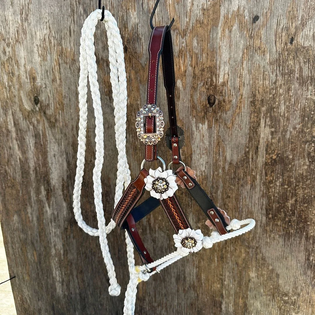 Hand Tooled Leather Designer Nylon Rope Halter and Lead Equestrian Equipment Products Customized Logo at Reasonable Price