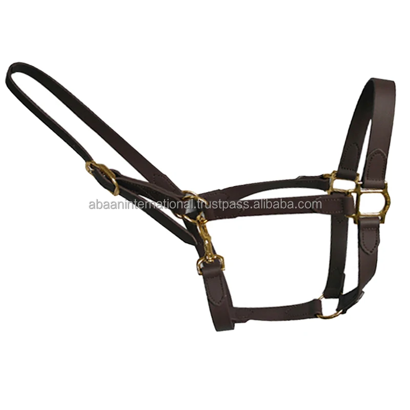 Horse racing pattern equestrian accessories adjustable horse leather halters head collars at cheapest rate in bulk in India