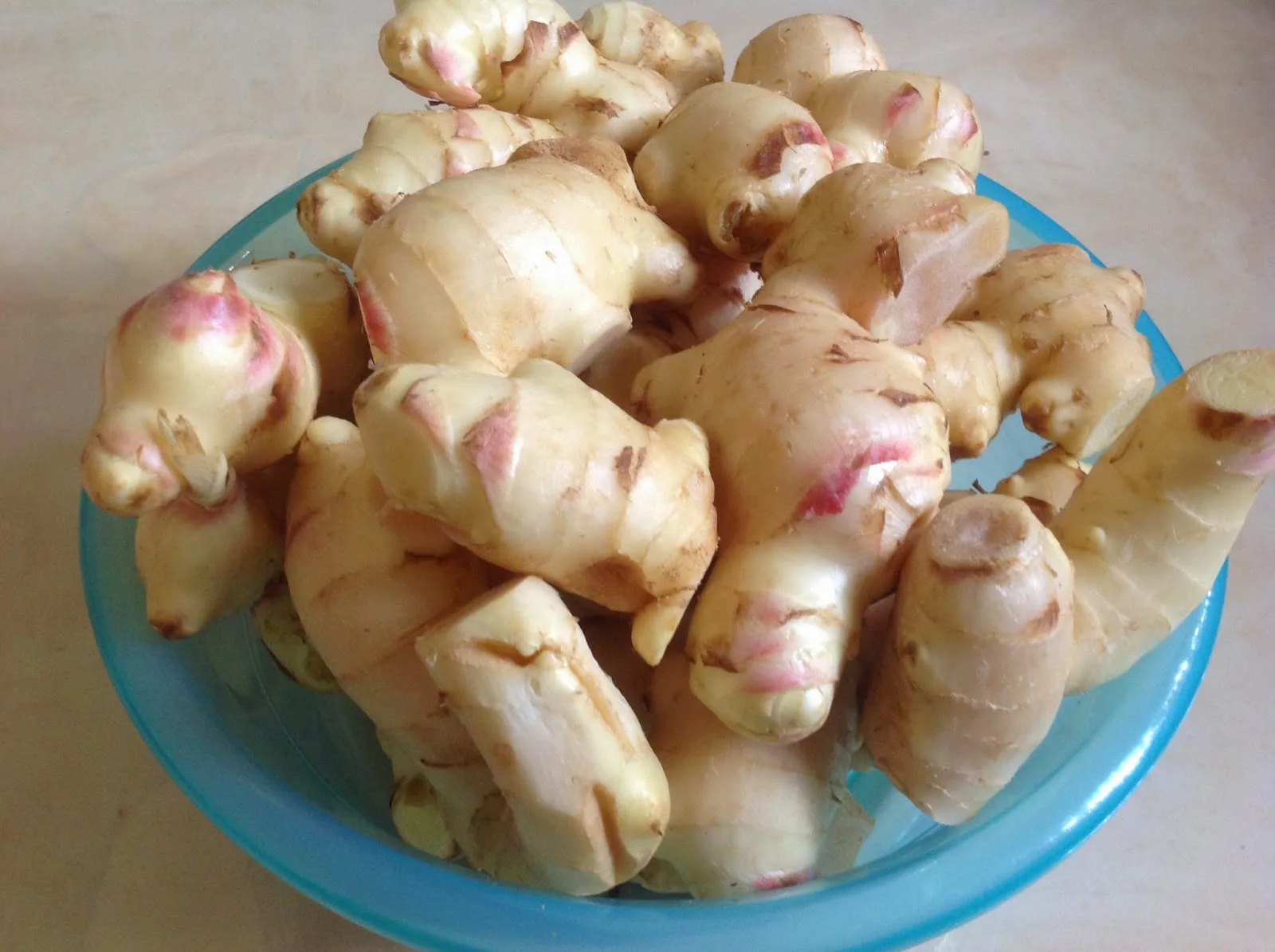 
NEW CROP 2021 FRESH YOUNG GINGER VIETNAM WITH BEST PRICE 