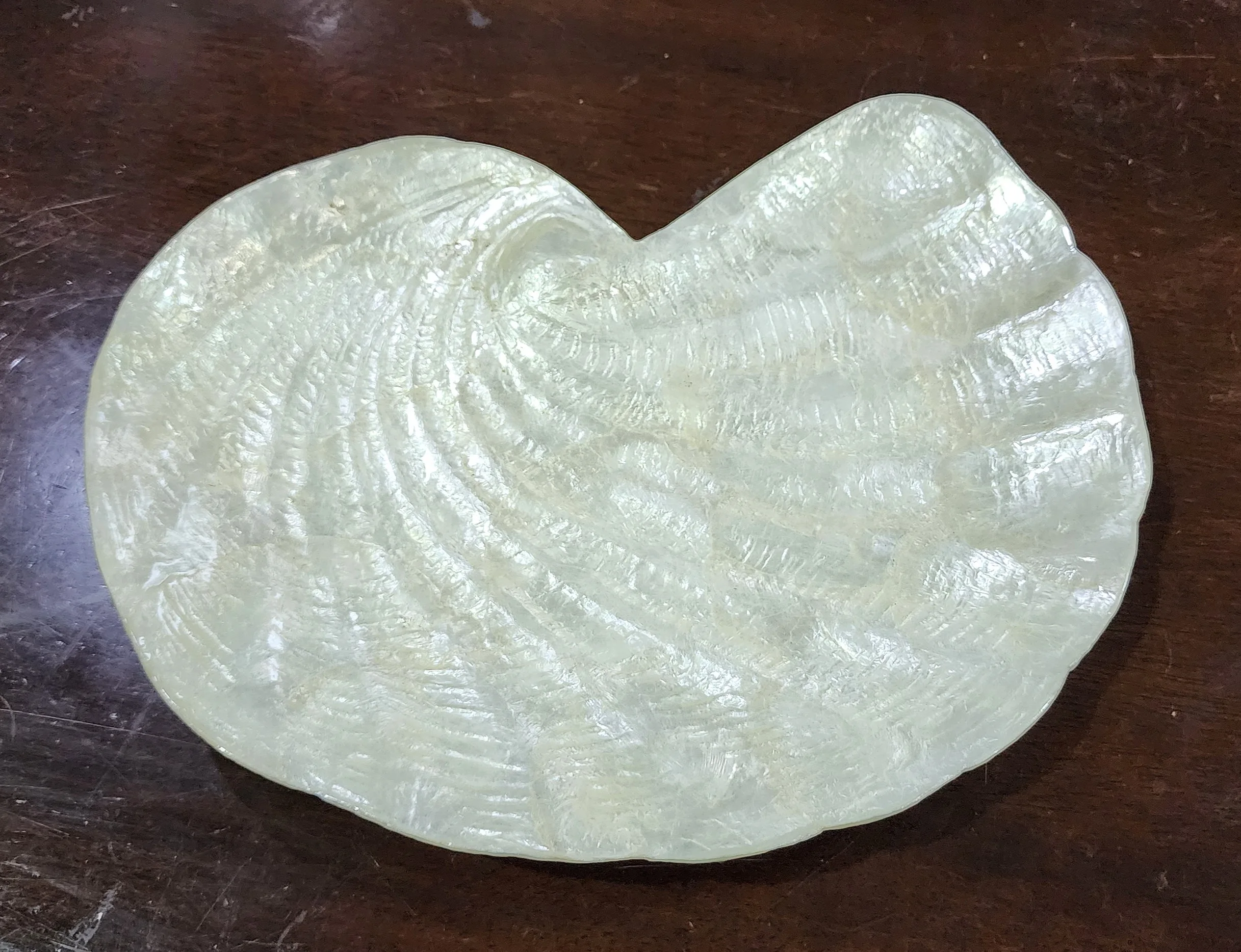 Luxury Handmade Vanity Tray Mother of Pearl Elegant Decorative Tray