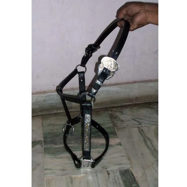 Exporters of Horse Leather Halter