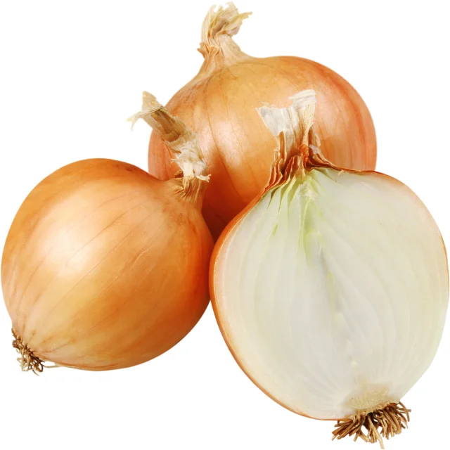 Высококачественный органический 100% свежий лук из Вьетнама, готов к экспорту, Лучшая цена для оптовой продажи