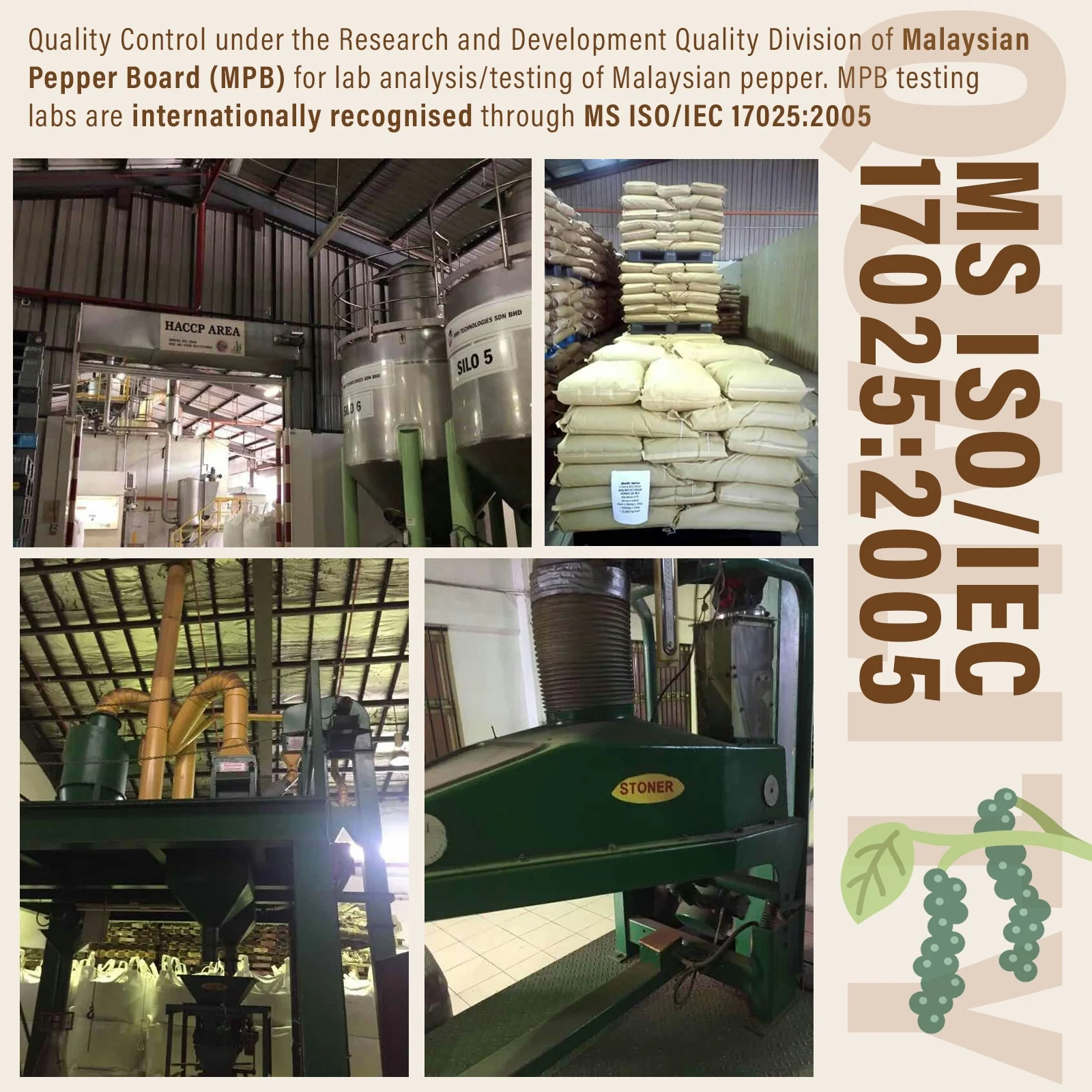 Sarawak (Malaysia) Black Pepper 80g (Whole, Ground, Coarse Peppercorn) Premium Grade High Quality HALAL Pure Natural Spice