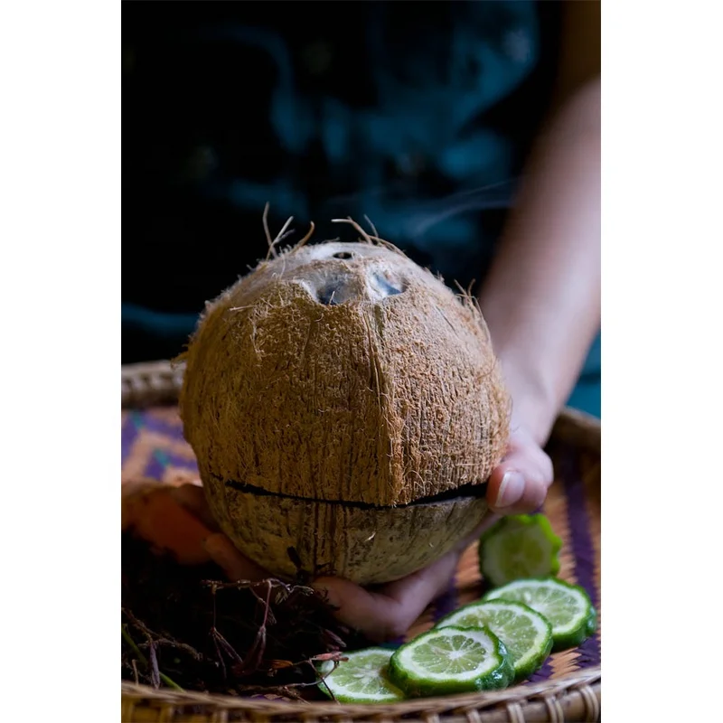 100% Pure Virgin Coconut Oil Light Yellow Color Food Grade AVCO Activated Coconut Oil Skincare Ingredients Bulk Buy