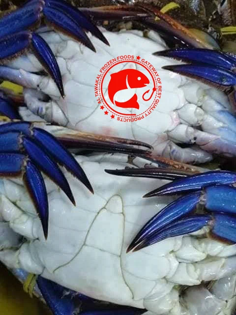 Frozen Blue Swimming Crab Whole Pakistani Origin Whole Blue Swimming Crab For Export in Bulk Quantity
