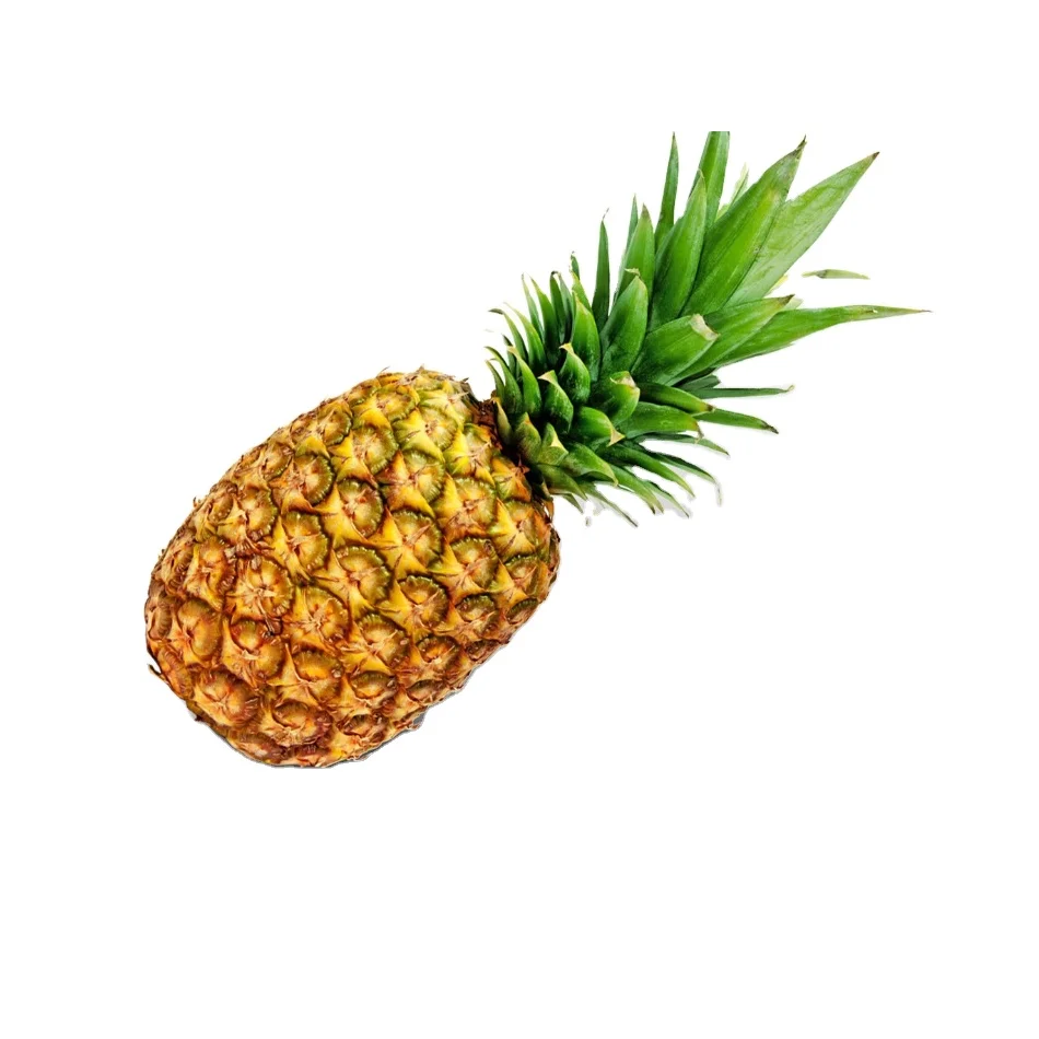High quality fresh pineapples / canned pineapple export to EU, USA - Wholesale for dried pineapple