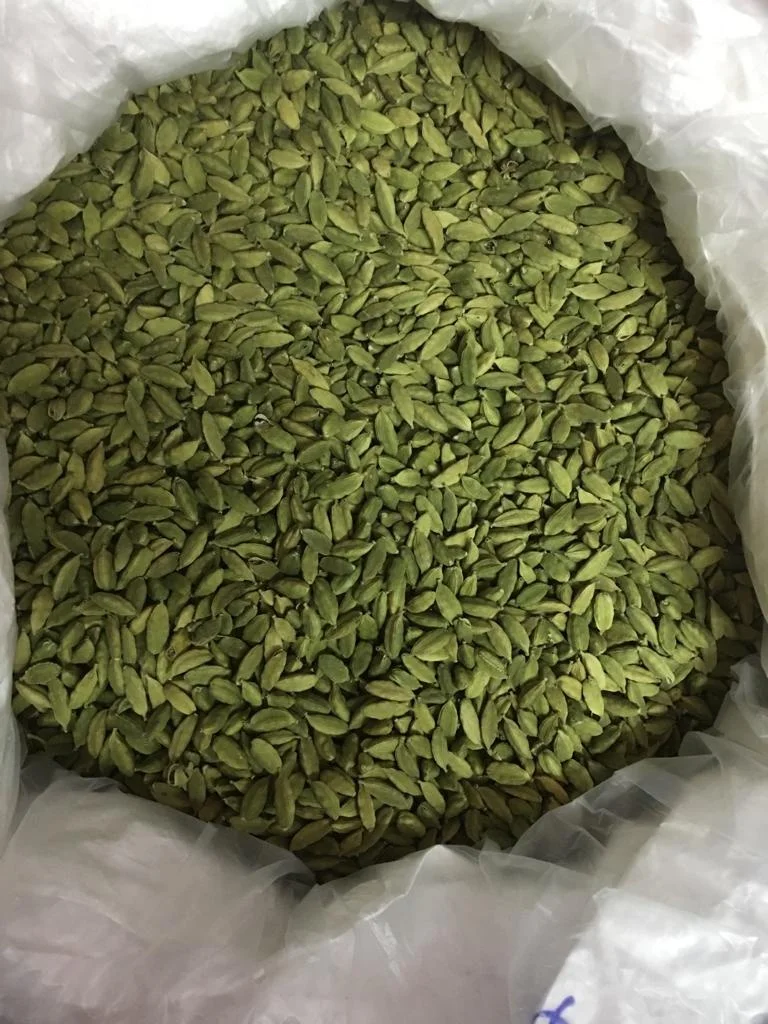 Fresh Indian Bold and Round shape Green Cardamom 8 + mm  for daily Home usage wholesale supply